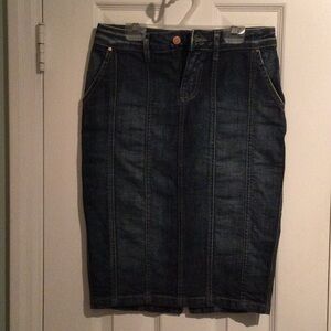 Zara Woman Jean Skirt